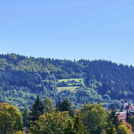 Lägenhet Apartments, Bodenmais
